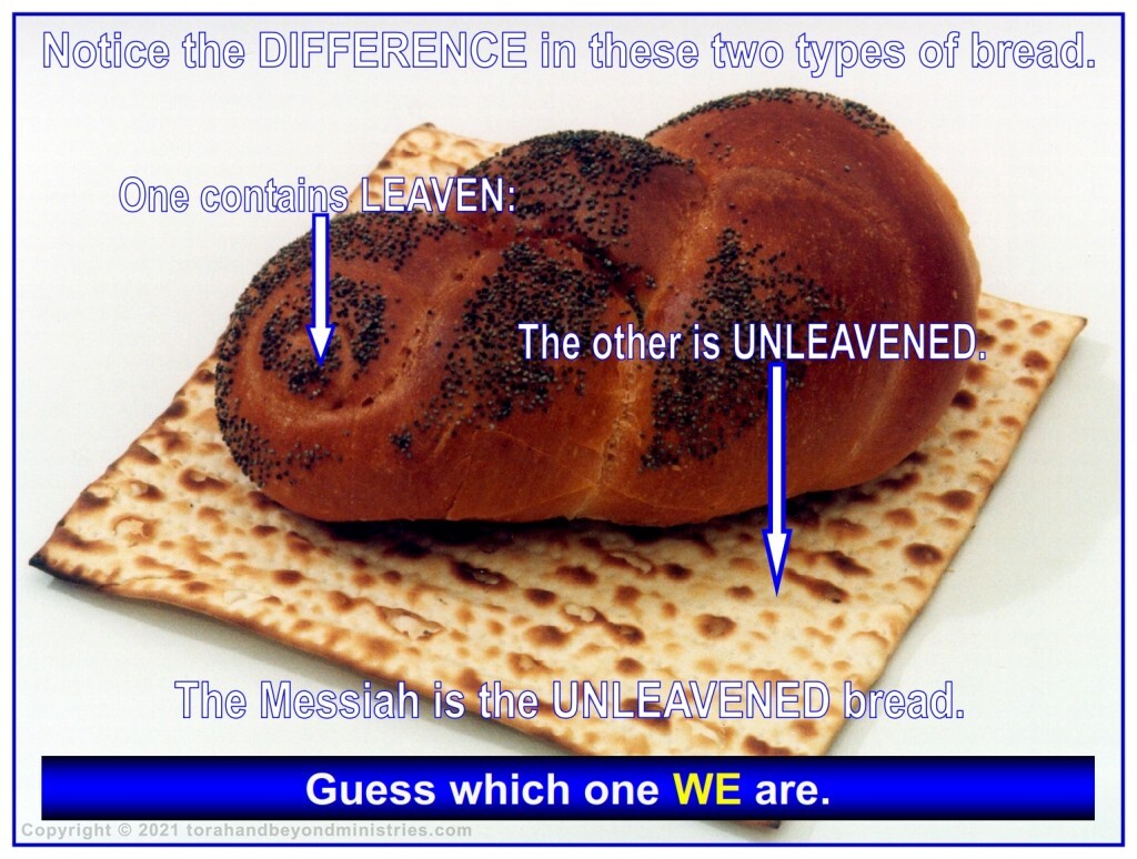 Notice the difference in these two types of bread: one contains leaven the other is unleavened.