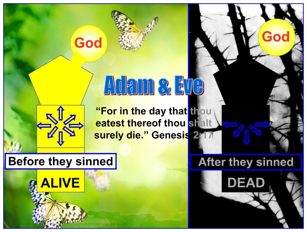 The very instant Adam and Eve ate from the tree their spirit was disconnected, separated, from God. This is death.