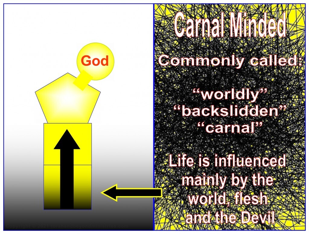 A "born again" person does not have to live a carnal life.