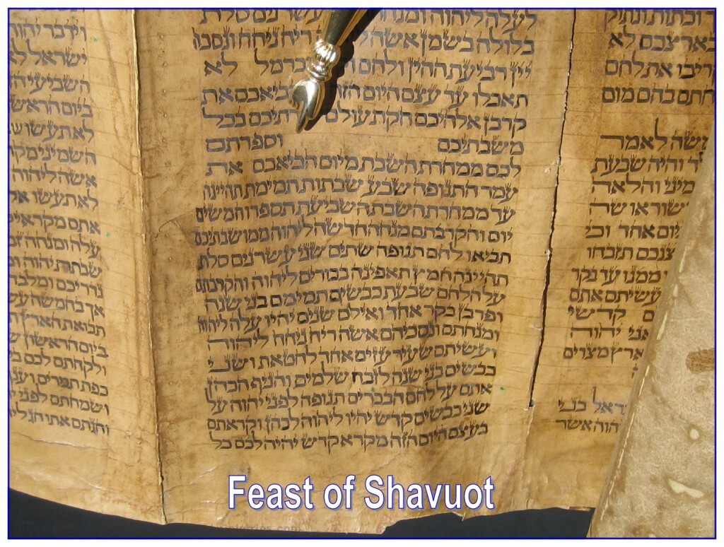 The yad, pointer, is indicating where the Feast of Shavuot begins in the Torah. This Scroll was written in the 1800s on deer skin in Iraq.