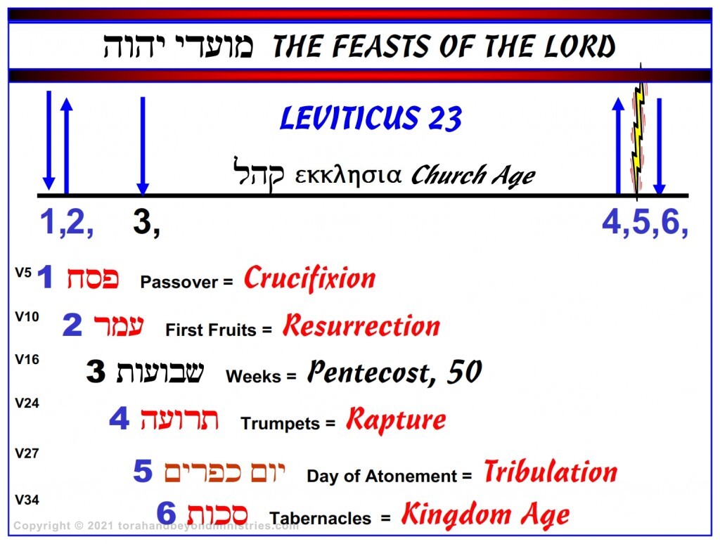 This is the Chronology of the Feasts of the Lord Leviticus 23. Notice the two groups of feasts separated by a vast time. Thus far it has been 2,000 years since the fulfillment of the last feast. 