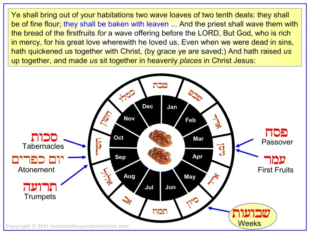 This Hebrew English calendar wheel shows the months in which each feast occurs. 