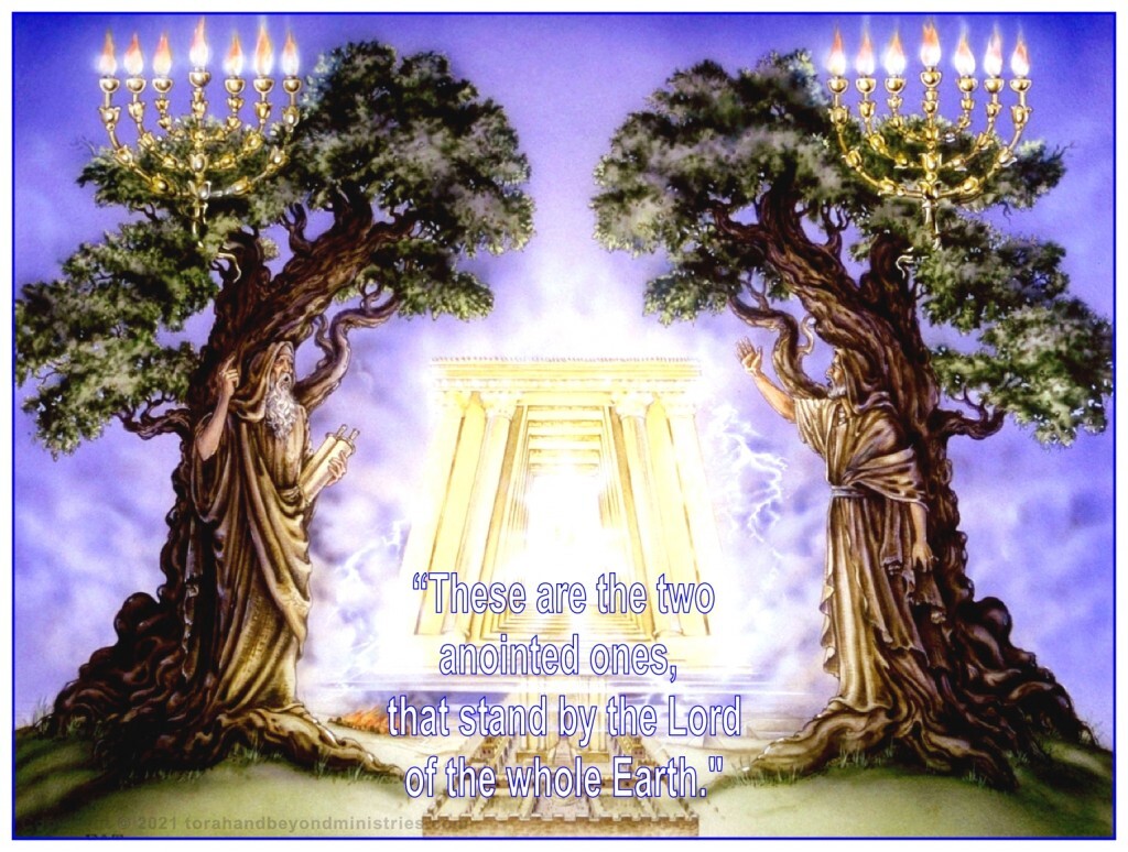 The two witnesses of the Tribulation
