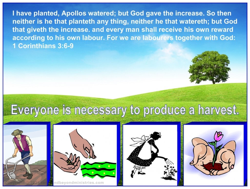 We are all very important in the harvest. Everyone is necessary to produce a harvest.