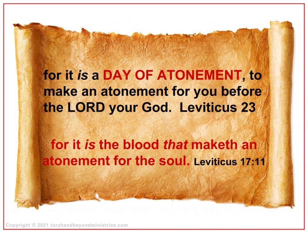 A blood payment is required for sin. The question is, whose blood will be used to make the atonement. 