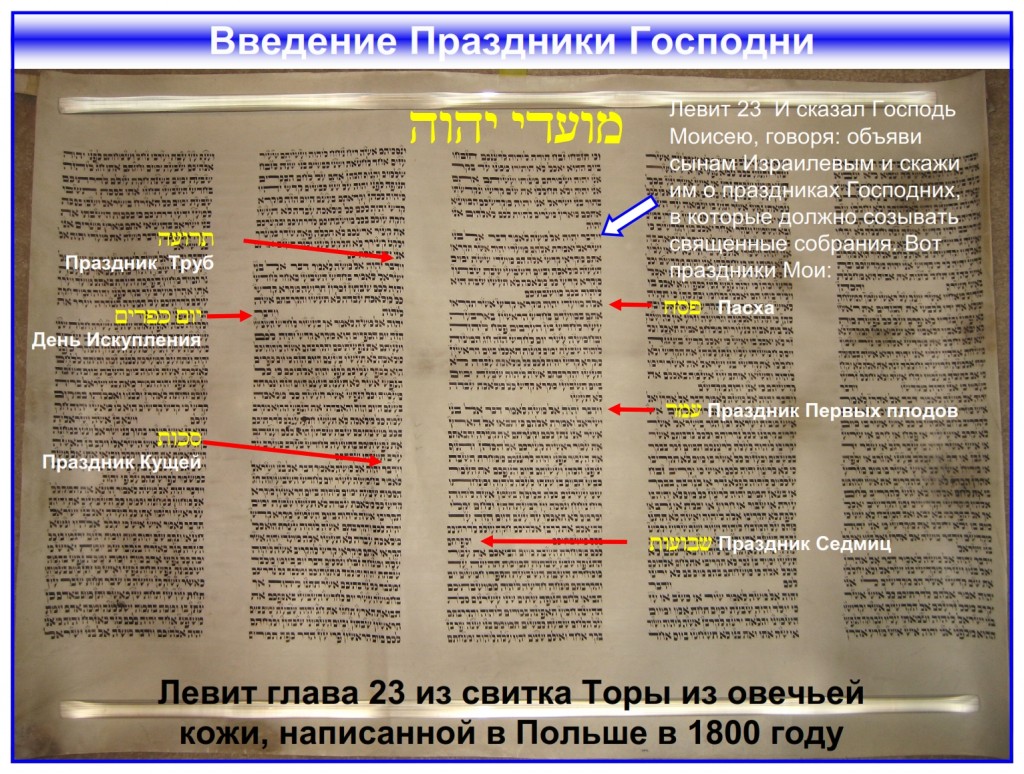 The Feasts of the Lord Leviticus 23 written in a Torah Scroll from Poland - Russian language Bible study 