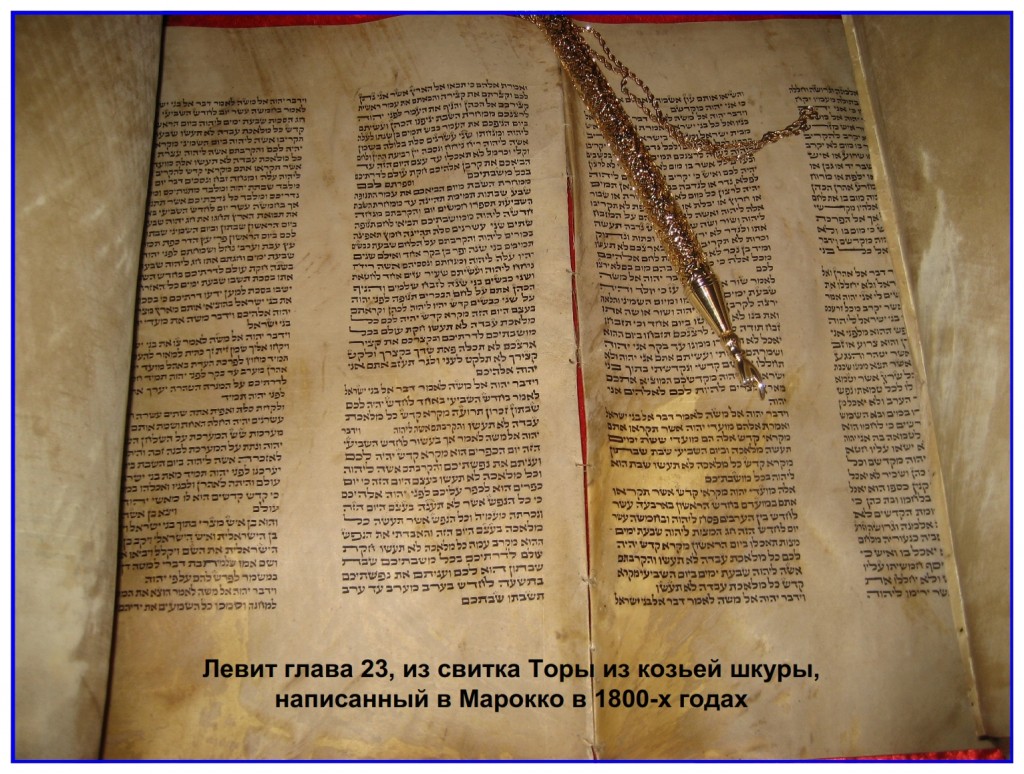 Torah Scroll written in Morocco showing Leviticus 23 The Feasts of the Lord 