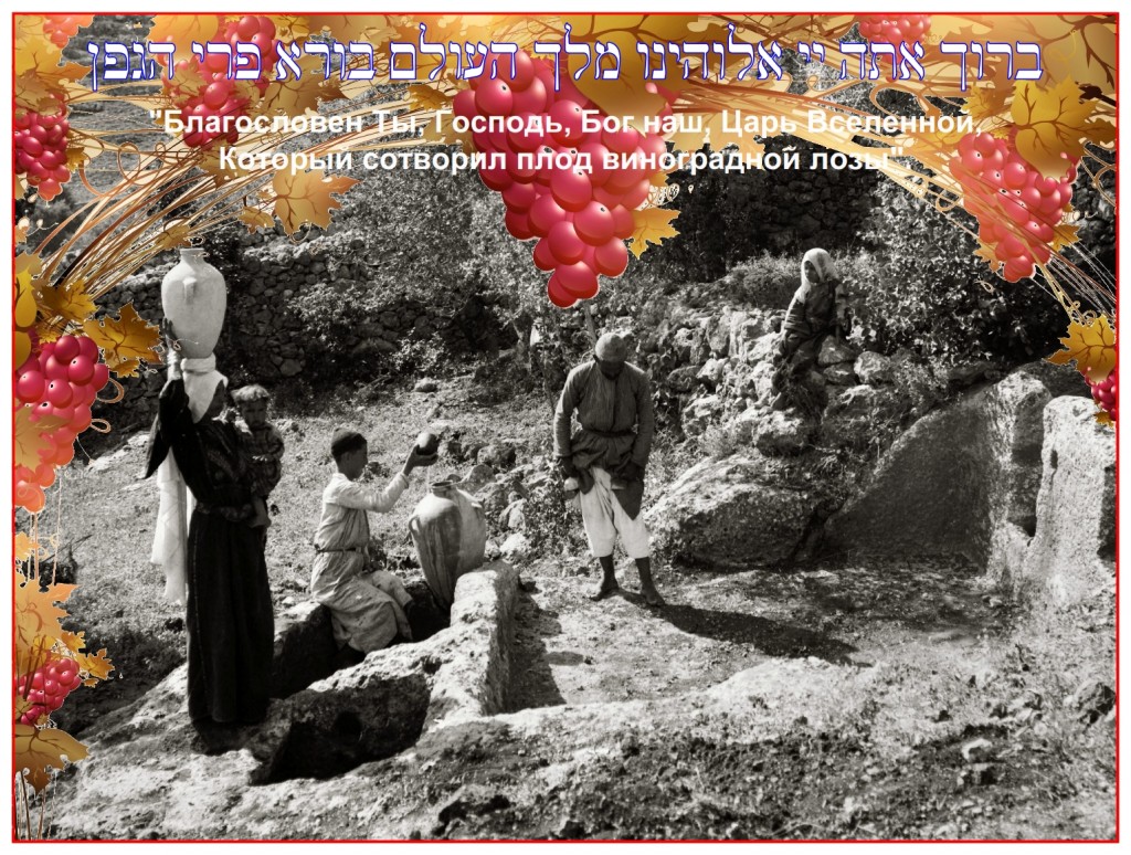 Ancient wine press discovered at Ein Kerem on the west side of Jerusalem Photo 1890