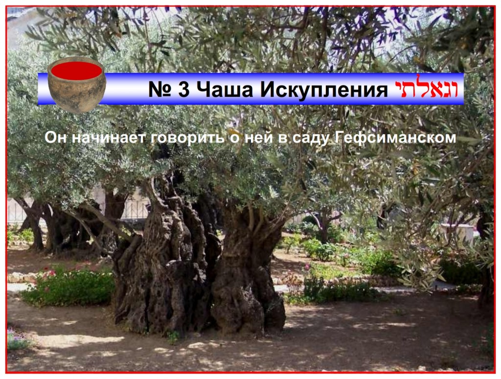 The act of redemption begins with this third cup. Jesus starts talking about this cup in the Garden of Gethsemane. 