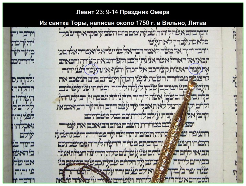 Torah Scroll written in Vilnius, Lithuania around 1750 showing the word omer as the sheaf of Firstfruits