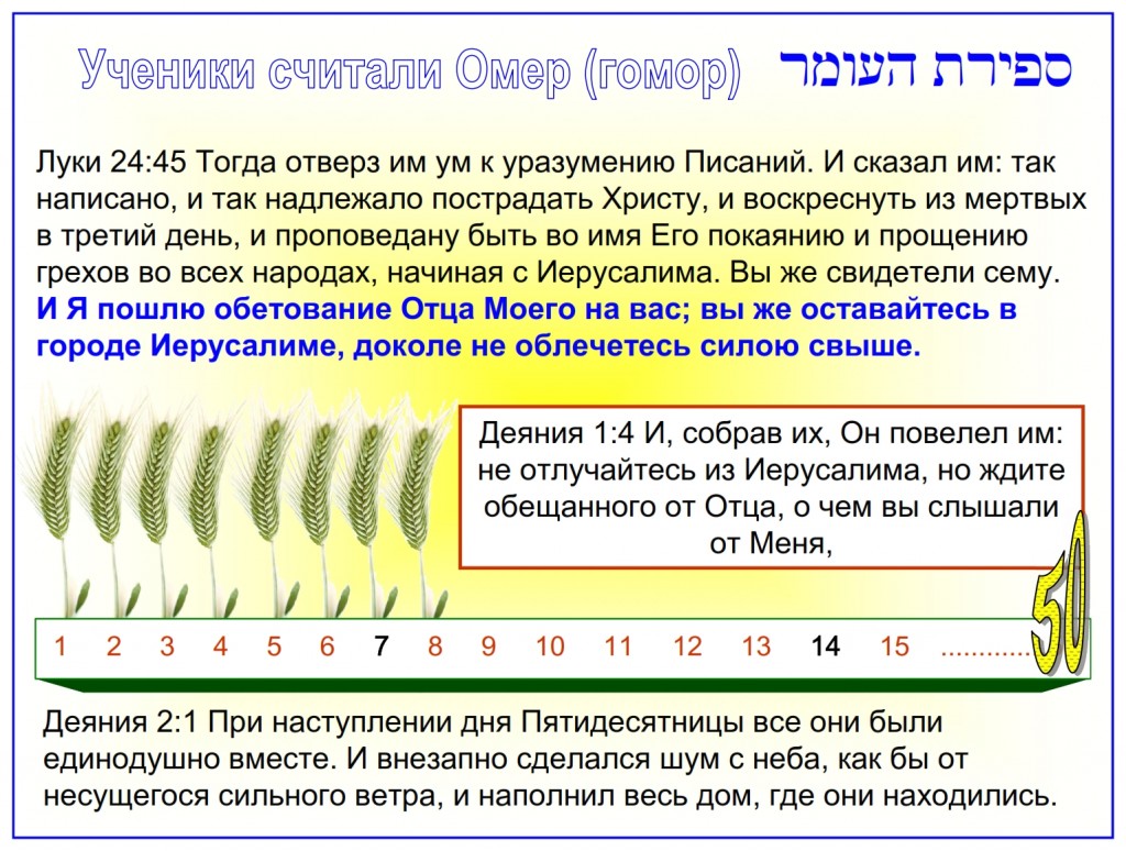 Russian language Bible study: The Disciples knew how to count the days from the Feast of First Fruits to the Feast of Shavuot.