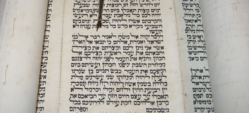 This photograph was taken from a Torah Scroll written in Morocco on goat skin. The yad (pointer) is indicating the verse Leviticus 23:10