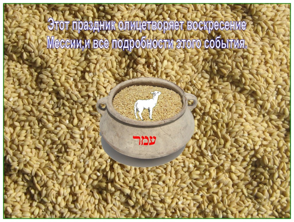 The Lamb of God brought the omer from the barley harvest to the Father. He had to go to Paradise to get it. 