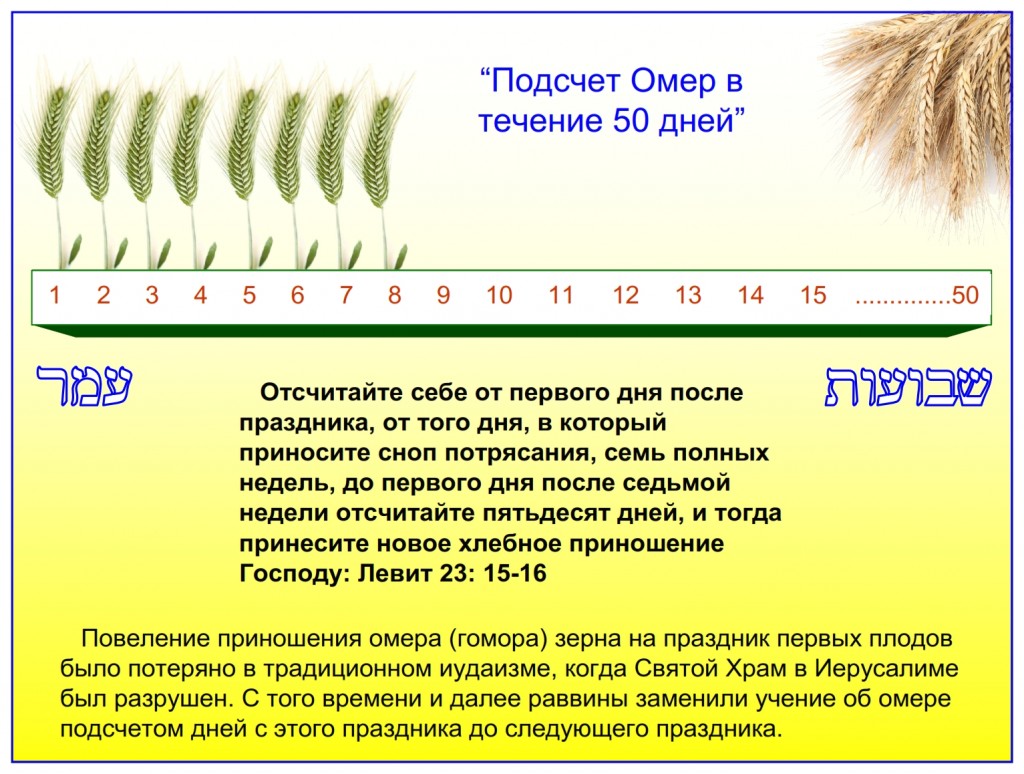 Russian language Bible study: The counting of the days between the offering of the omer to the feast of Shavuot is called counting the omer. Many Jewish people practice this each year.