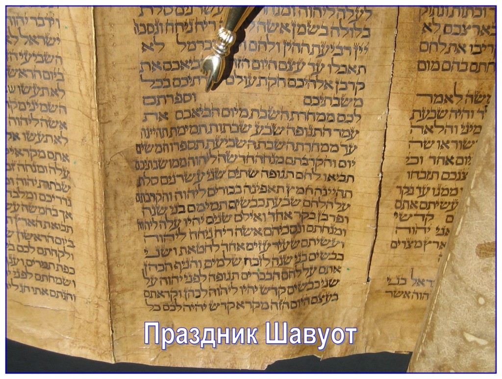 The yad, pointer, is indicating where the Feast of Shavuot begins in the Torah. This Scroll was written in the 1800s on deer skin in Iraq.