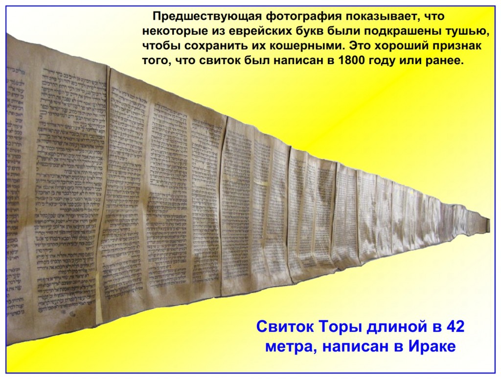 Russian language Bible study: This is the longest Torah Scroll we have had in The Scriptorium. It is 138 feet long and The feasts of Leviticus 23 are found near the middle of this Scroll. This is the longest Torah Scroll we have had in The Scriptorium. It is 138 feet long and The feasts of Leviticus 23 are found near the middle of this Scroll.