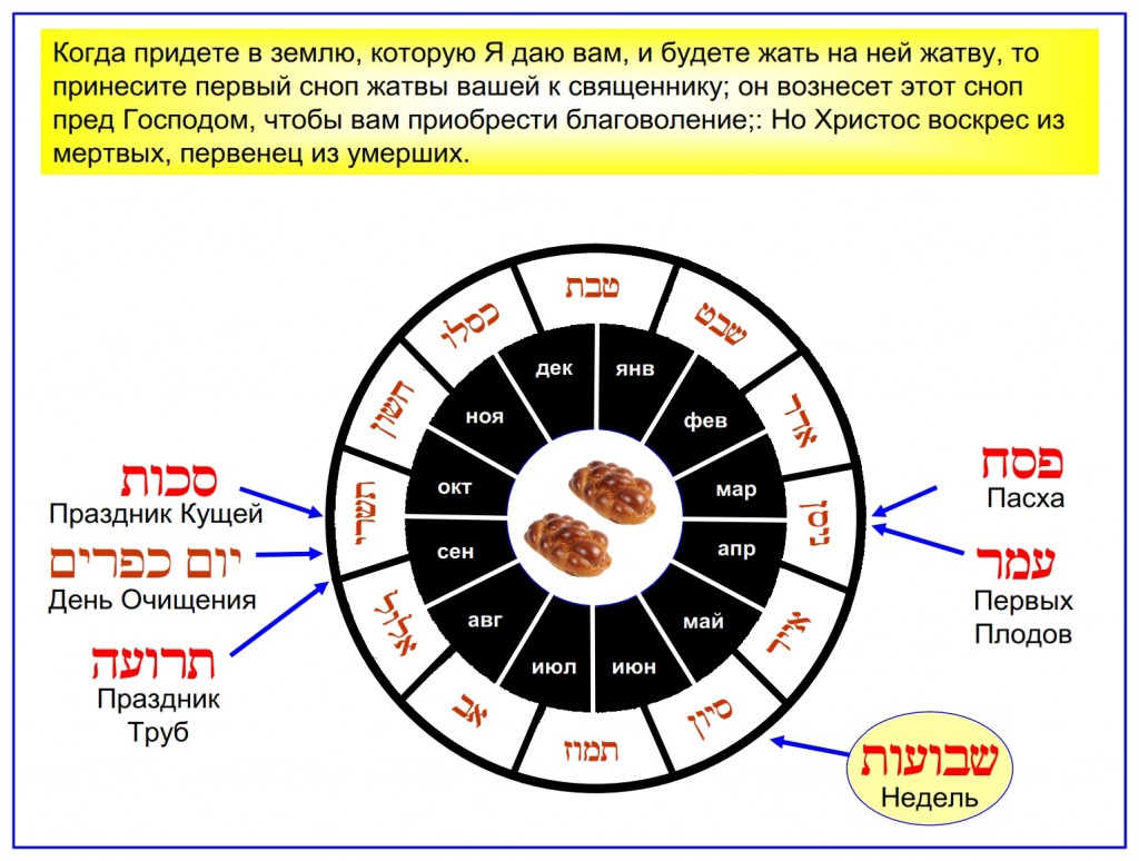 Russian language Bible study: This Hebrew English calendar wheel shows the months in which each feast occurs.