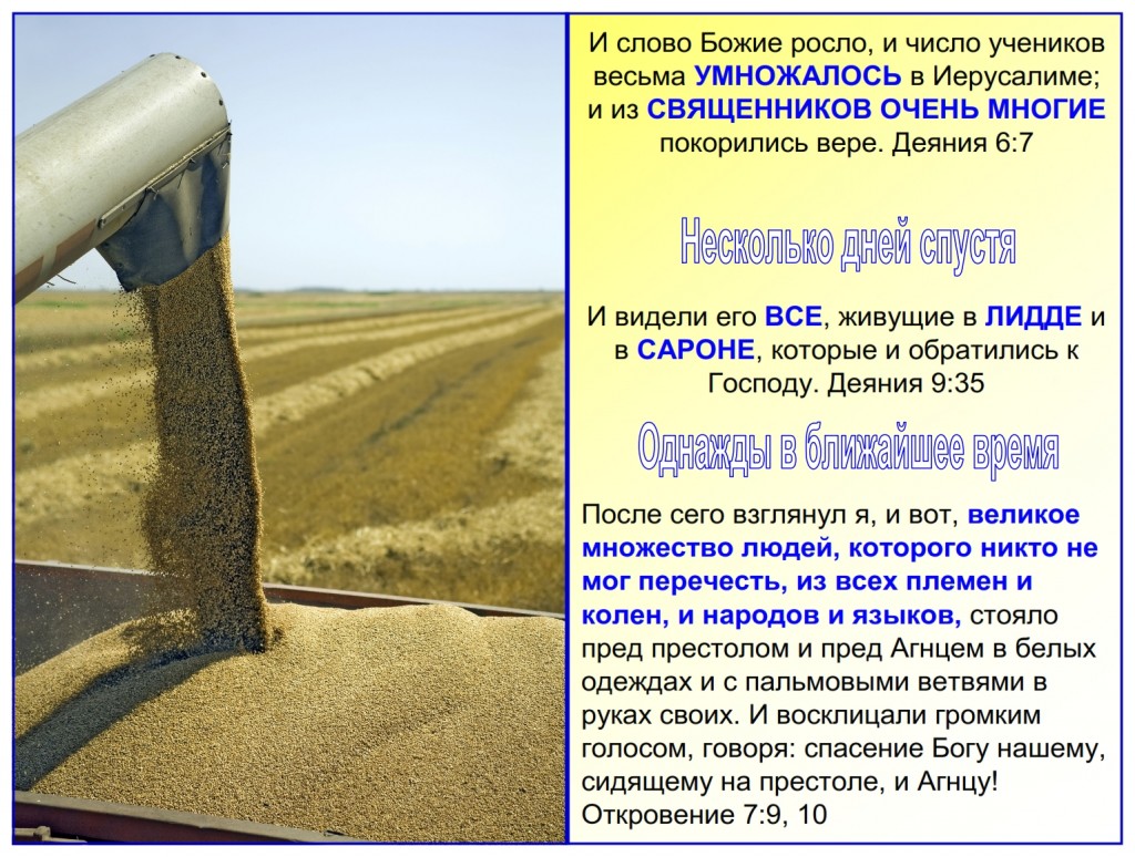 Russian language lesson: The harvest started moving from town to town, region to region, country to country, language to language throughout the world.