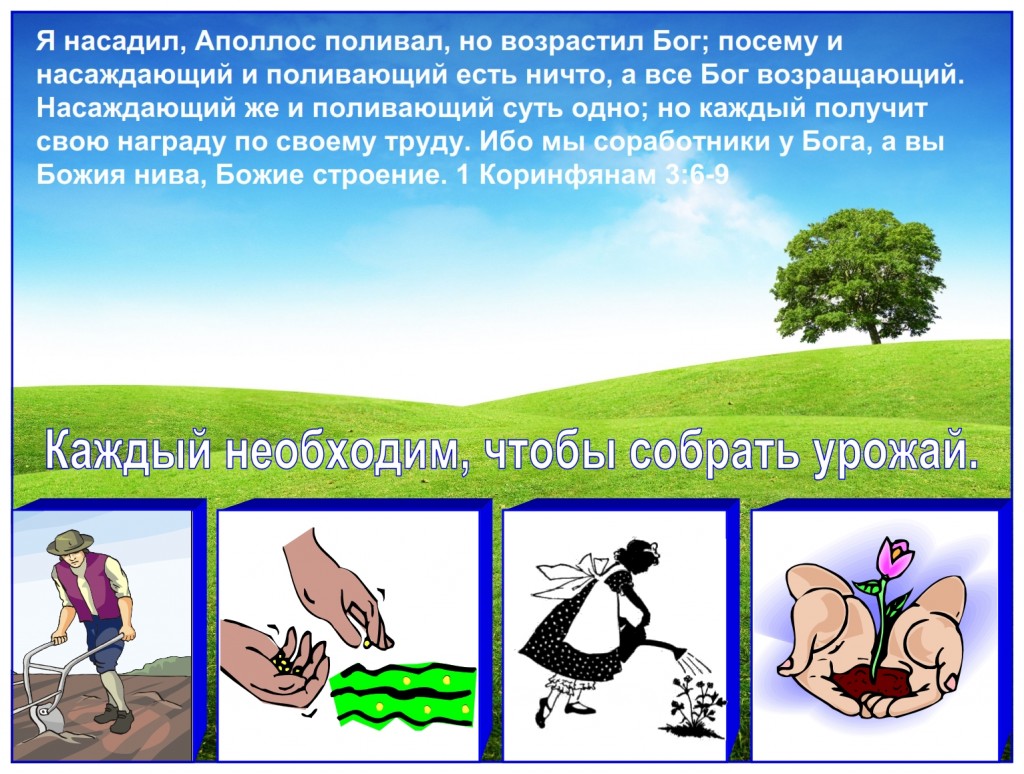 Russian language lesson: We are all very important in the harvest. Everyone is necessary to produce a harvest.