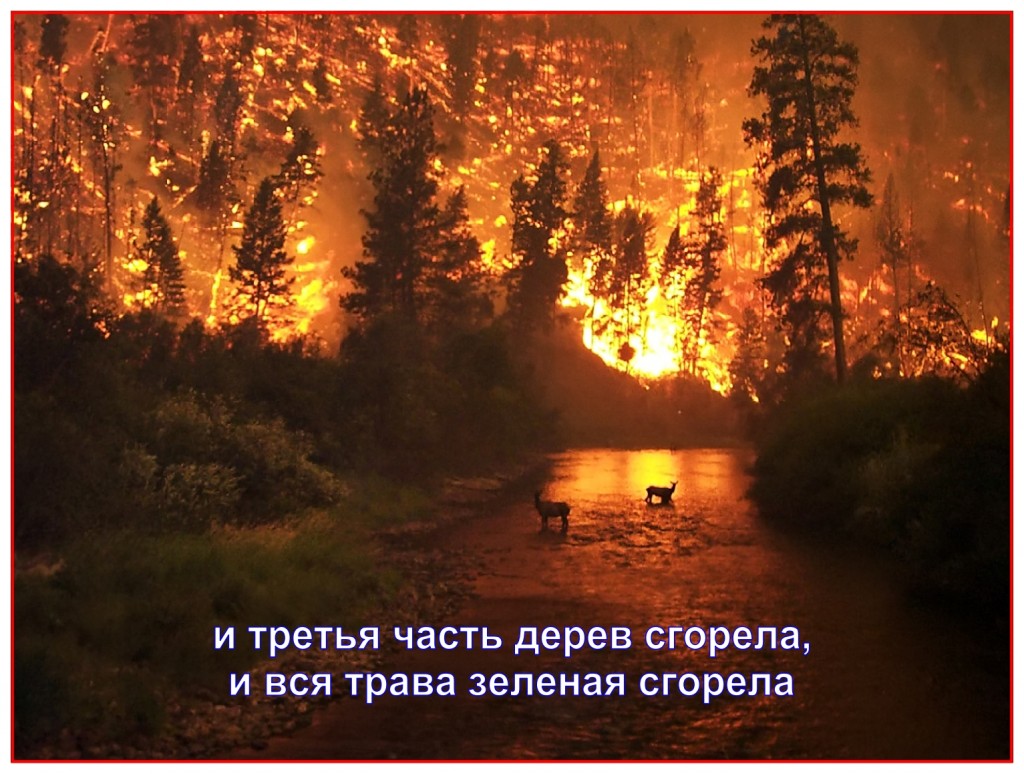 The ecological system of the Earth is severely damaged during this judgement.