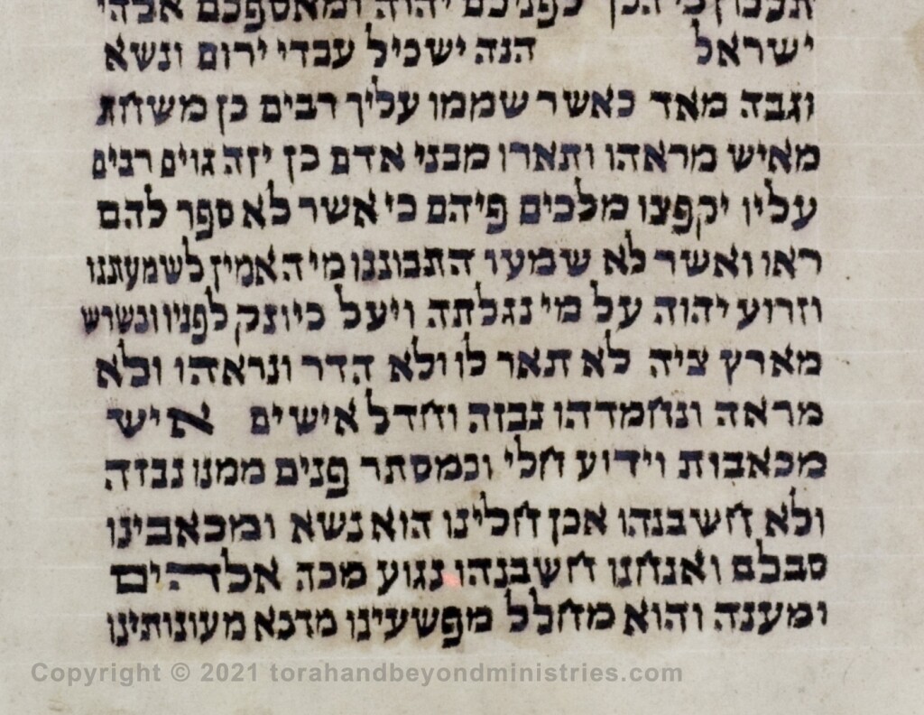 Isaiah 53 Isaiah Scroll Jerusalem 2008 CHR