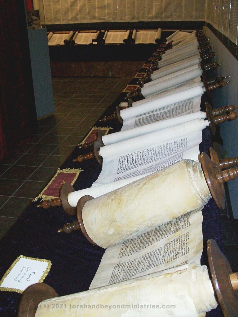 Entire Tanakh as displayed in Dallas when I had the museum at the Wycliffe Bible Translator's campus. 