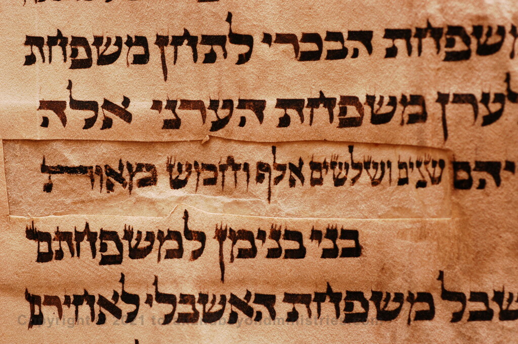 Repair on Torah Scroll Numbers 26:38