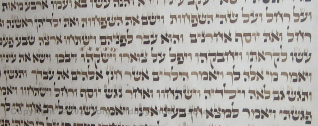 letters are becoming light on this Torah Scroll due to iron gall ink degradation