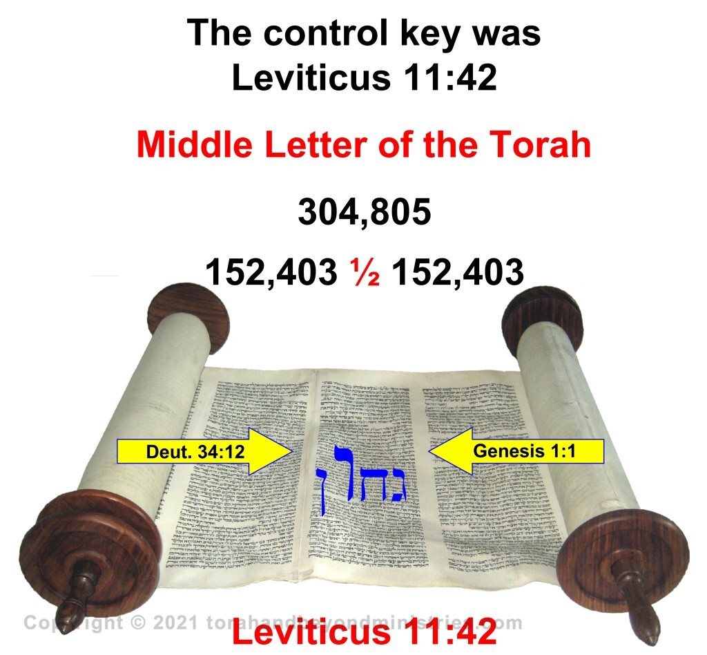 middle letter of the Torah is Leviticus 11:42
