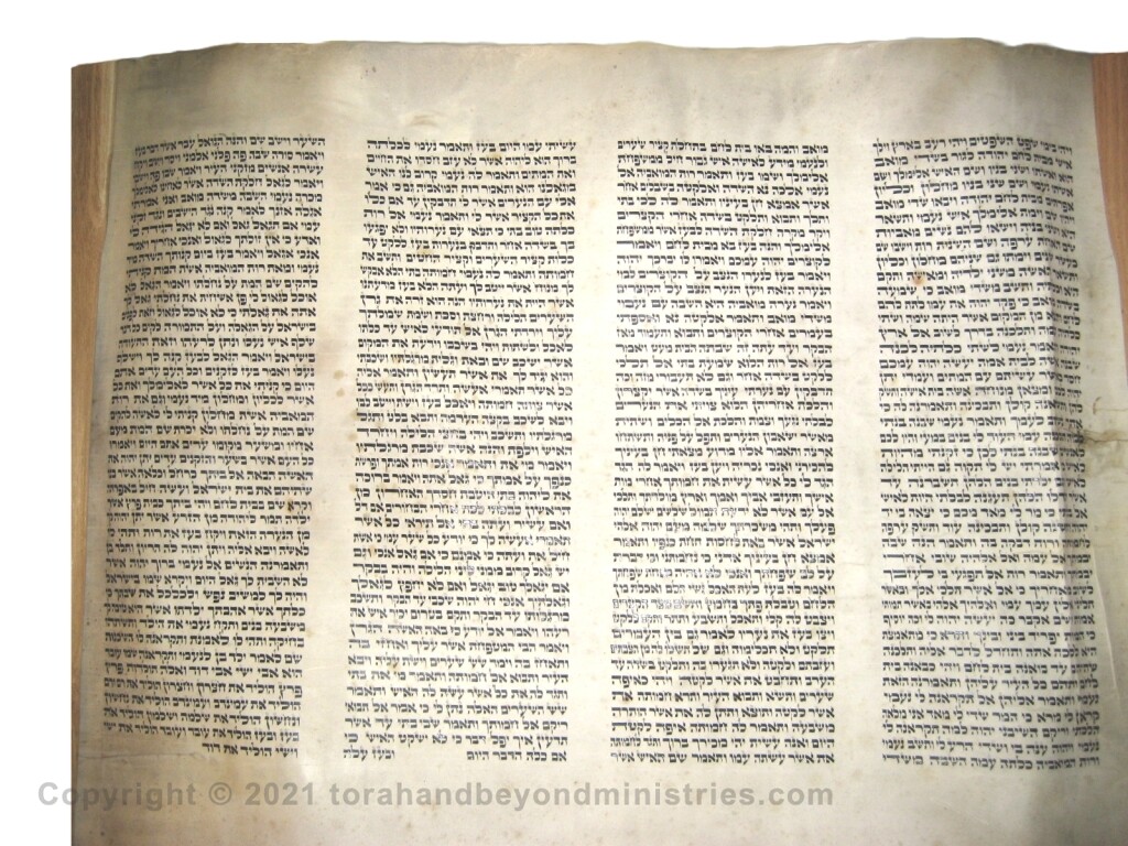 Authentic Hebrew Scroll of Ruth
