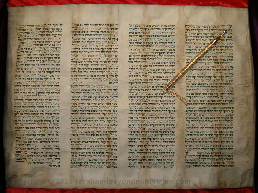 Authentic Hebrew Scroll of Song of Songs