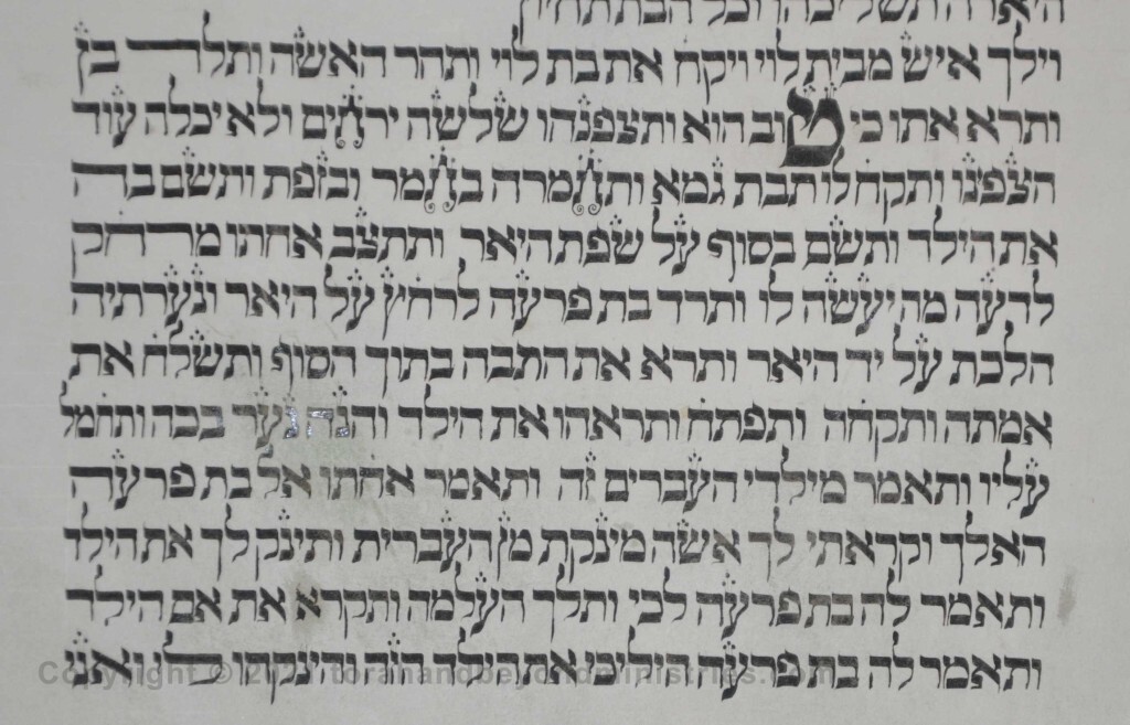 Sheet 12 Exodus 2 good - Torah from Lithuania written in the 16th century