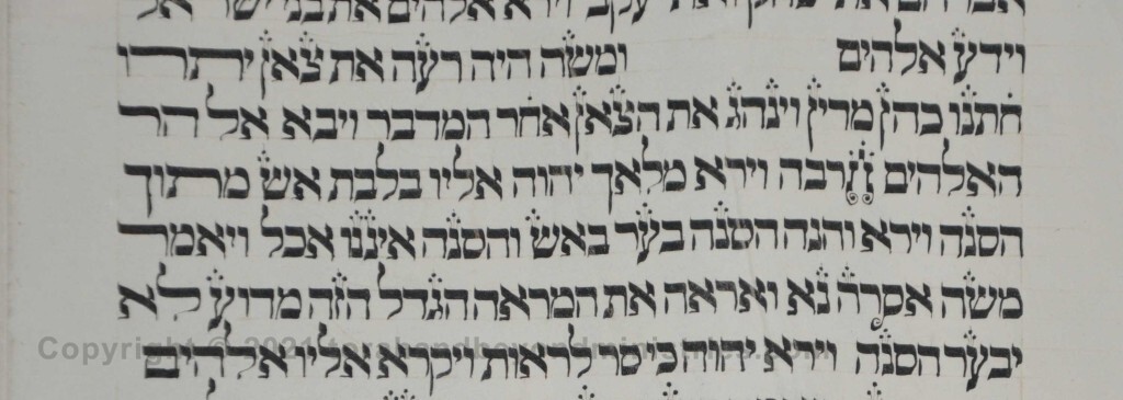 Sheet 12 Exodus 3 burning bush - Torah from Lithuania written in the 16th century