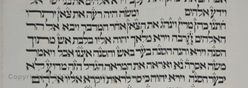 Sheet 12 Exodus 3 burning bush - Torah from Lithuania written in the 16th century