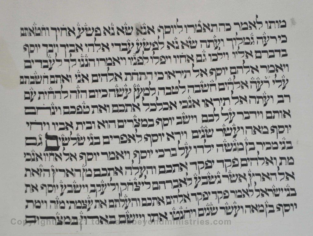 Sheet 12 Genesis 50:23 third generation - Torah from Lithuania written in the 16th century