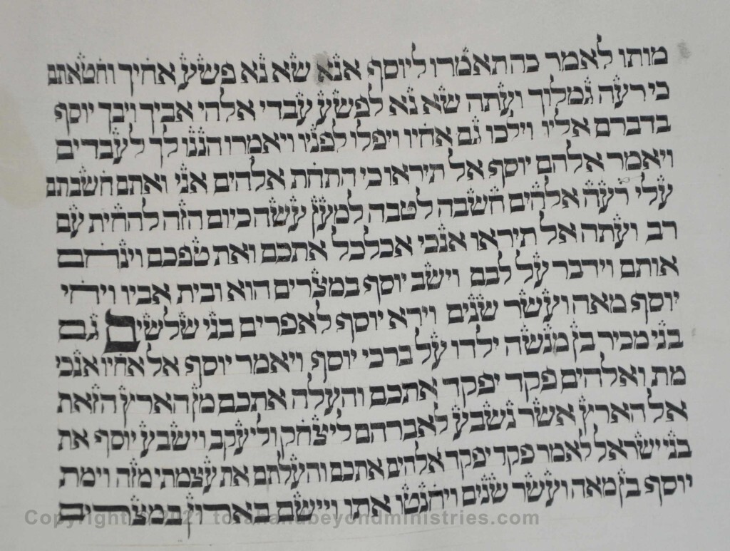 Sheet 12 Genesis 50:23 third generation - Torah from Lithuania written in the 16th century