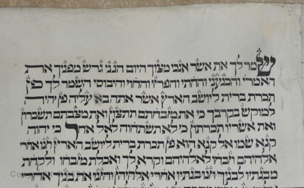 Sheet 21 Exodus 34:11 observe - other - Torah from Lithuania written in the 16th century