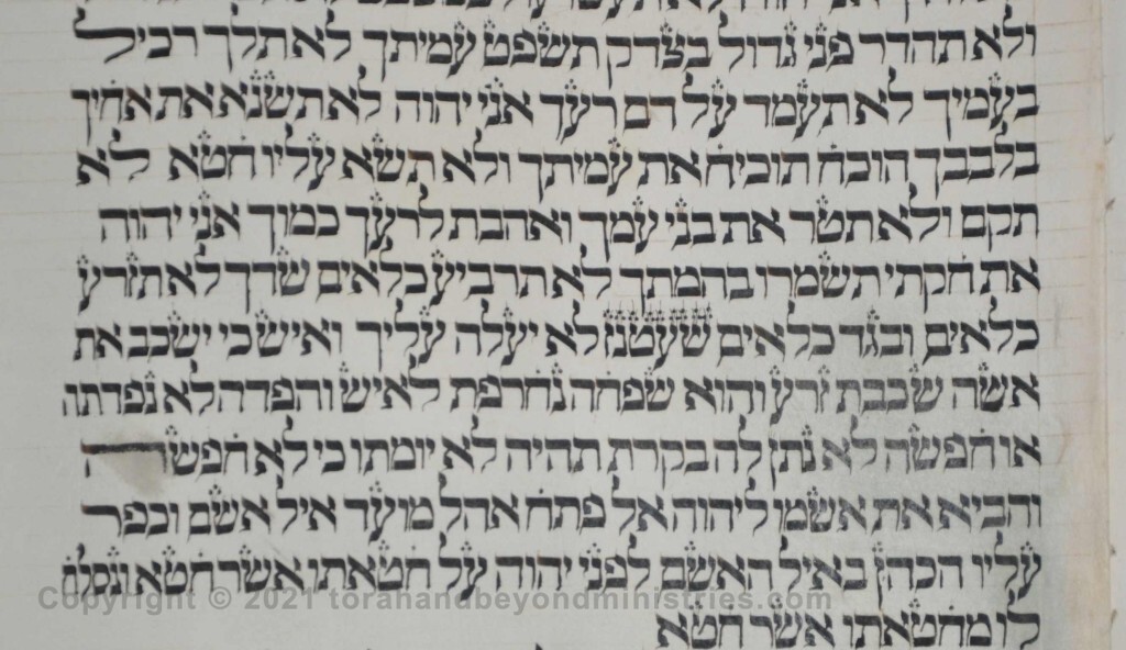 Sheet 30 Leviticus 19:19 linen and woolen - Torah from Lithuania written in the 16th century