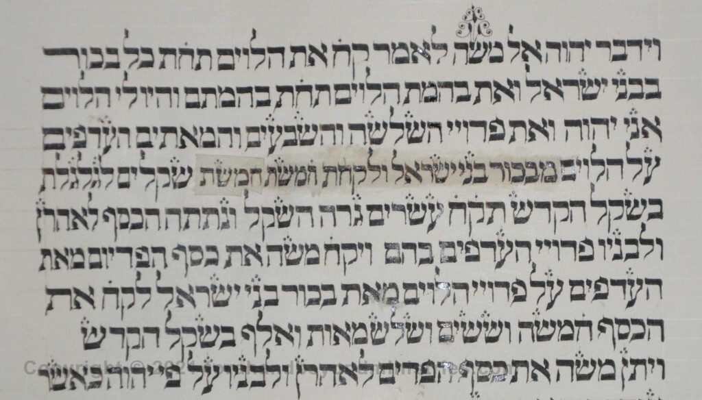 Sheet 33 Numbers 3:44 Moses - Torah from Lithuania written in the 16th century