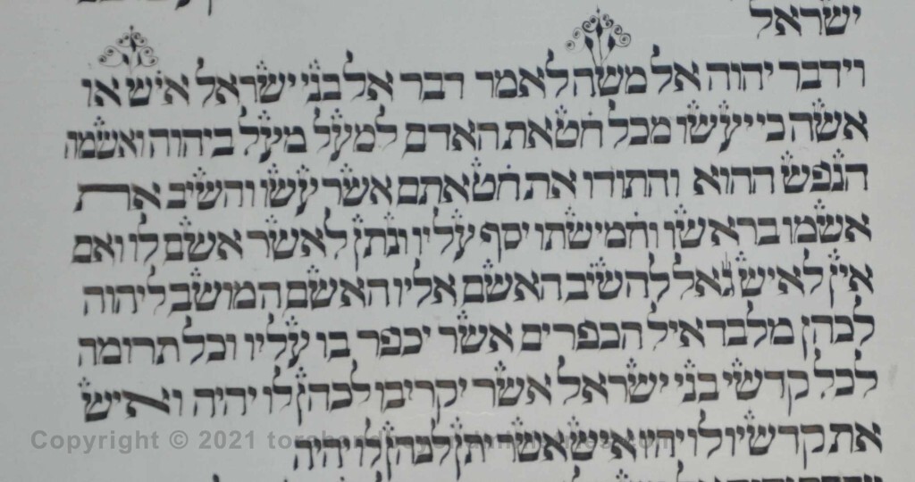 Sheet 34 Numbers 5:5 Moses, man - Torah from Lithuania written in the 16th century