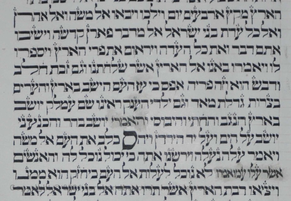 Sheet 37 Numbers 13:30 silenced - Torah from Lithuania written in the 16th century