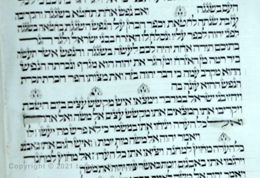 37 Sheet Numbers 15:27 sin, found, gathered, Sabbath, Congregation - Torah from Lithuania written in the 16th century