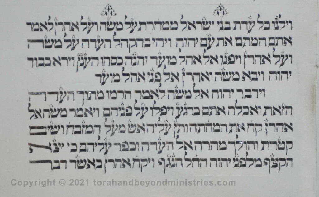Sheet 38 Numbers 16:41 children, Moses - Torah from Lithuania written in the 16th century