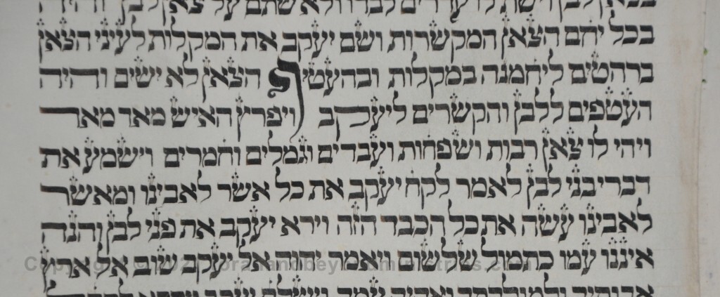 sheet 7 Genesis 30:42 feeble - Torah from Lithuania written in the 16th century