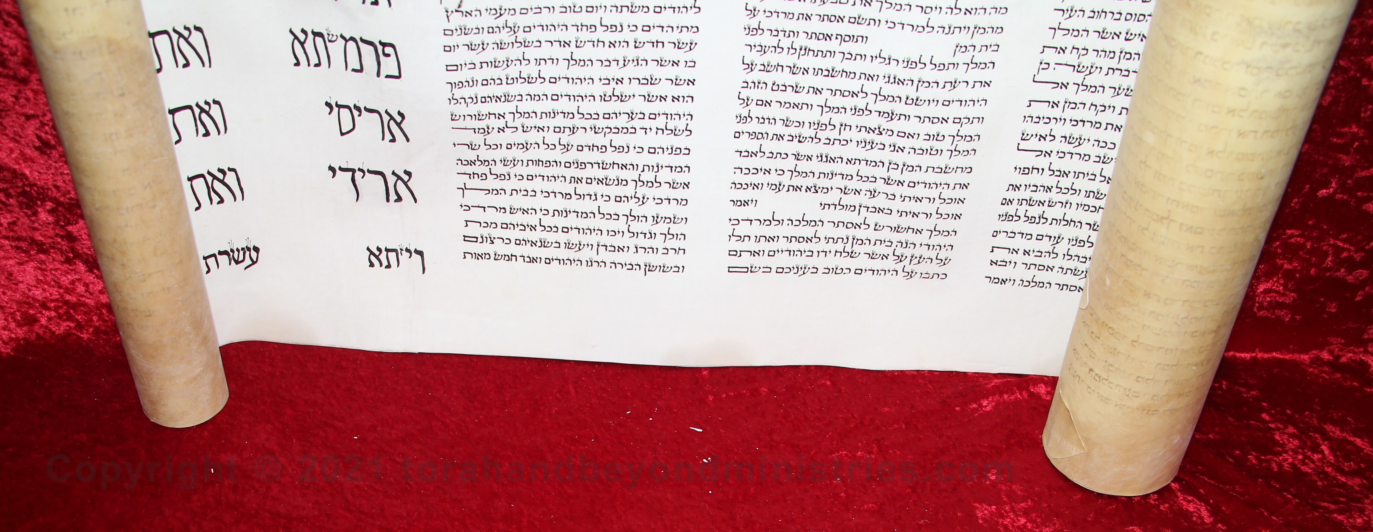 The Scroll of Esther is sheding the chalky substance called log