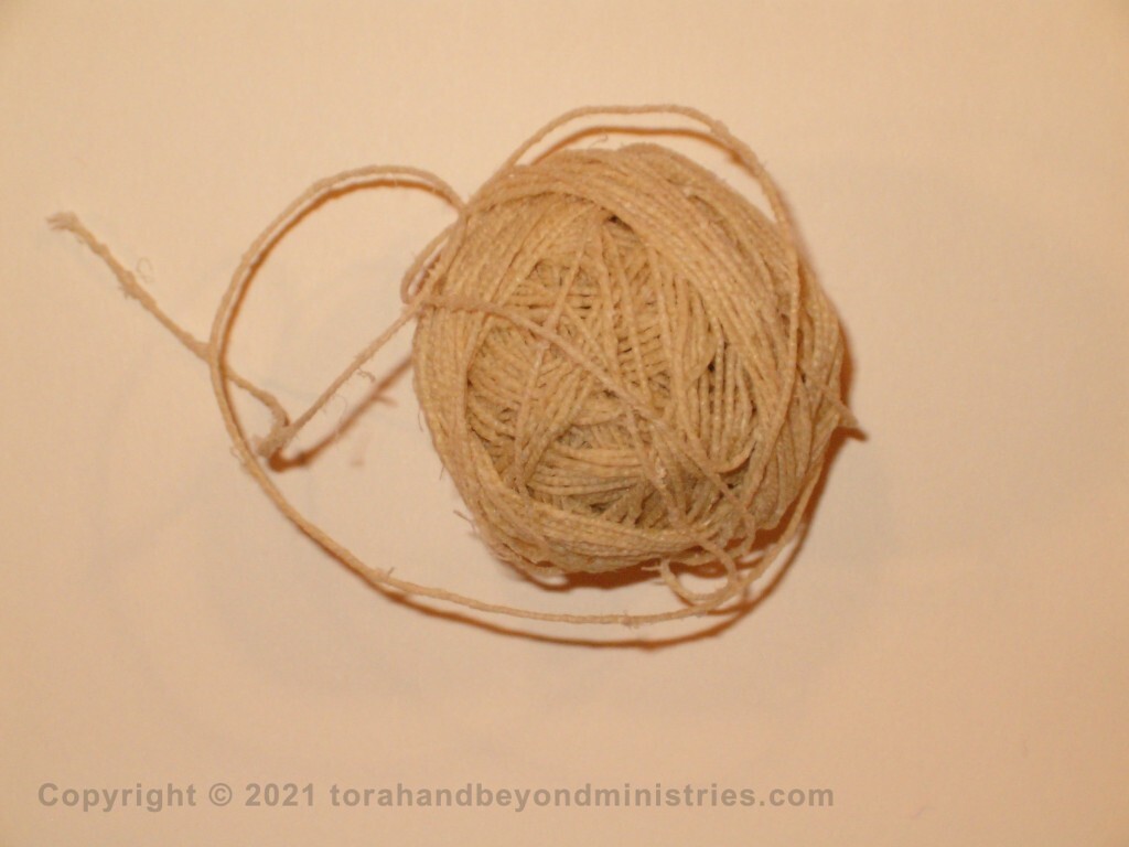 Sinew, called gid in Hebrew. This is hand spun sinew from Israel