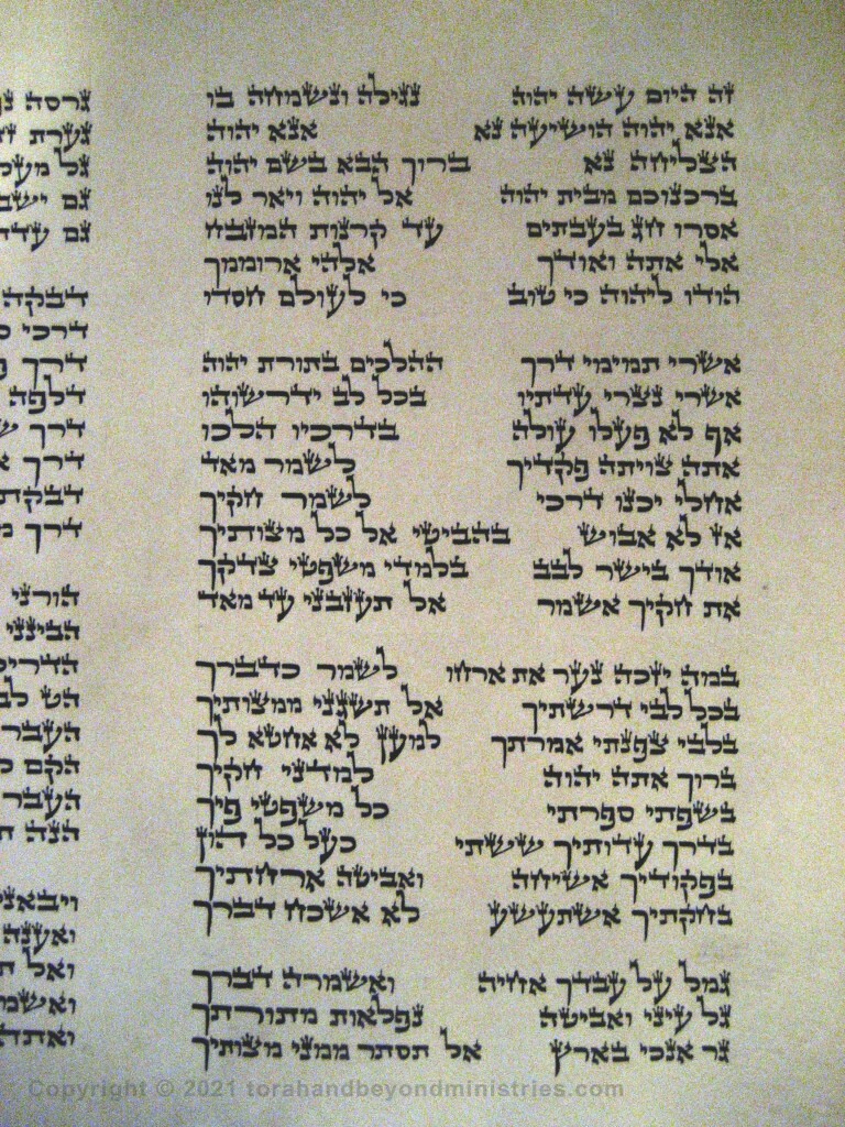 Photograph of the Scroll of Psalms showing Psalm 119 verses 1 through 19 showing the alef, bet, gimel