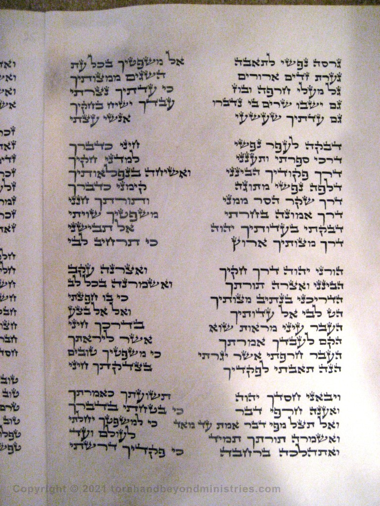 Photograph of the Scroll of Psalms showing Psalm 119 verses 20 through 45 showing the gimel, dalet, he, vav