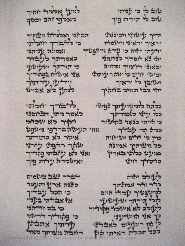 Photograph of the Scroll of Psalms showing Psalm 119 verses 71 through 96 showing the tet, yod, kaf, lamed