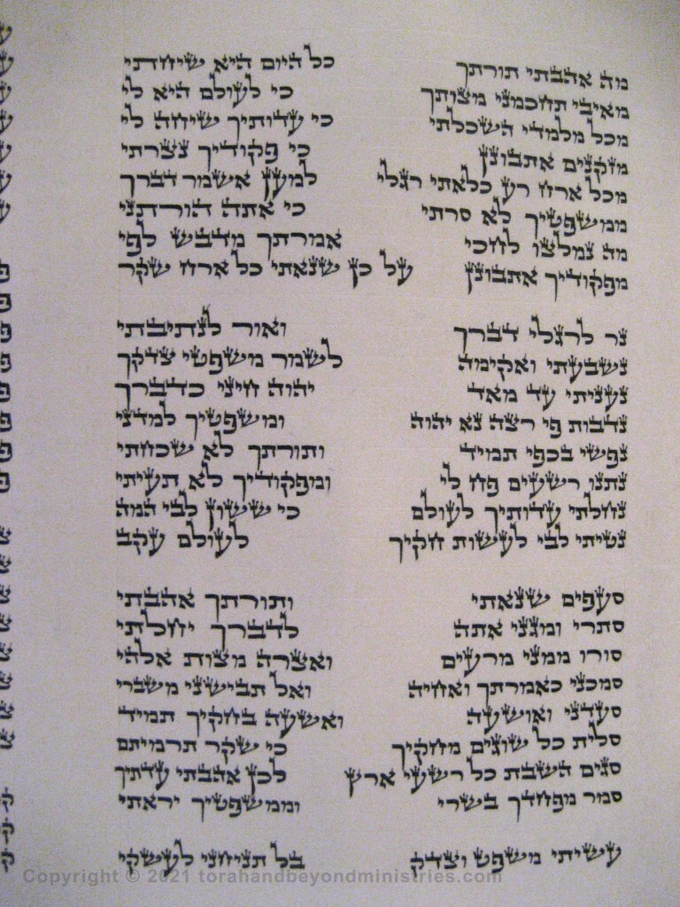 Photograph of the Scroll of Psalms showing Psalm 119 verses 97 through 121 showing the mem, nun, samech, ayin